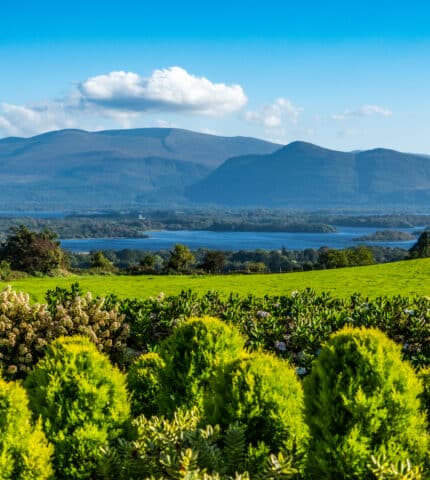Aghadoe 2-42