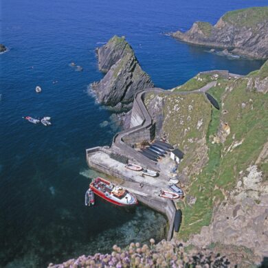 Dingle