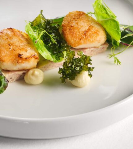 Scallops