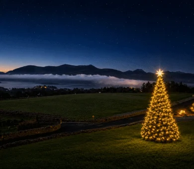 Stunning night view of lit Christmas tree and misty hills from hotel garden with serene ambiance.