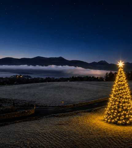 Festive Christmas tree in scenic countryside, with glowing lights against a serene mountain backdrop at dusk.