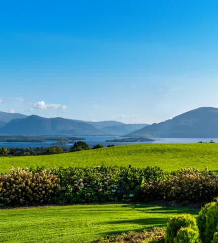 Aghadoe 2-49 removed for Siobhan