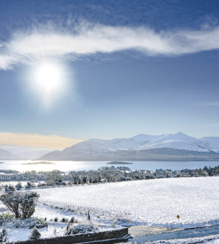 Snow scene 2023 from lake room