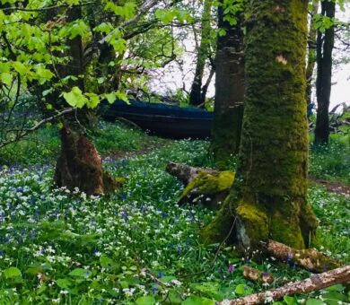 WhatsApp Image 2026-01-20 at 14.54.26 (3)