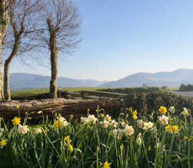 ChatGPT Image Mar 19, 2026, 05_04_39 PM