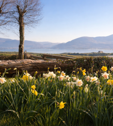 ChatGPT Image Mar 19, 2026, 05_23_57 PM