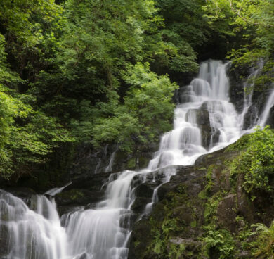 Serene waterfall amidst lush, green forest invites peaceful relaxation near luxury hotel.